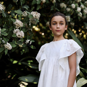 gabrielle dress - cosmos broderie anglaise