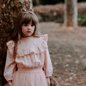 Blush Ruffle Yoke Embroidered Top Front View