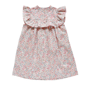 lucinda dress - blush confetti floral