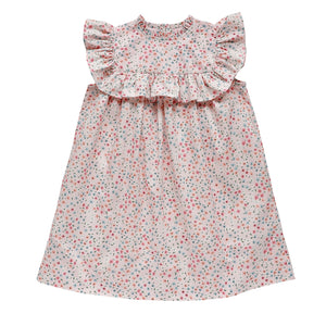 lucinda dress - blush confetti floral