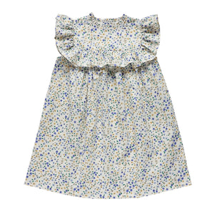 lucinda dress - cornflower confetti floral