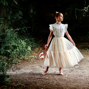 nutcracker tutu - antique cream hail spot tulle