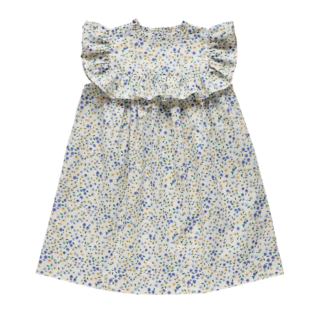 lucinda dress - cornflower confetti floral