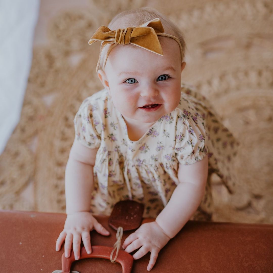 deluxe bow headband -  honeysuckle velvet