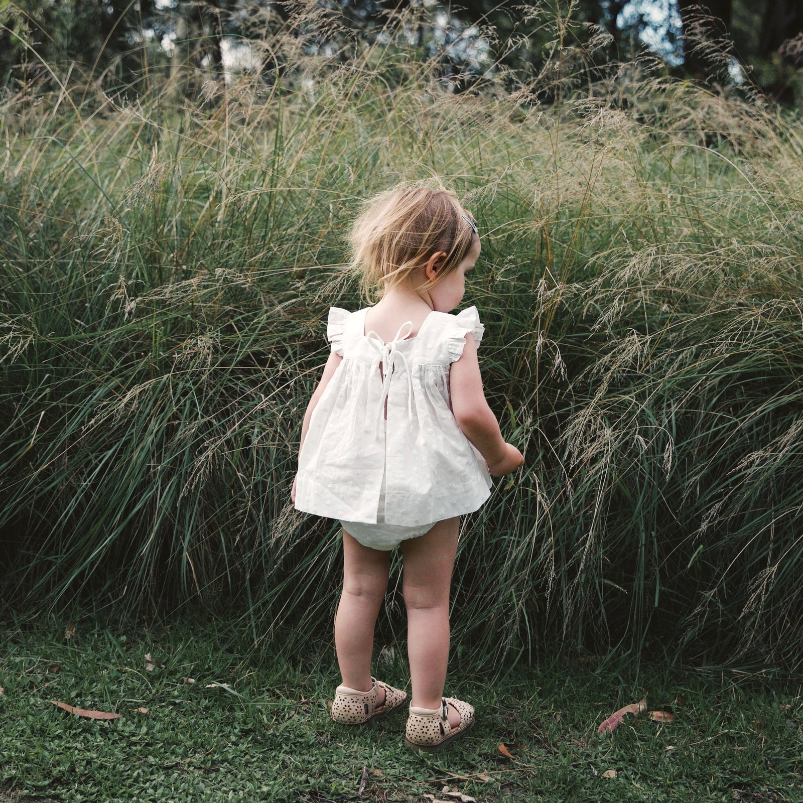 double ruffle bloomer - ivory daisy voile